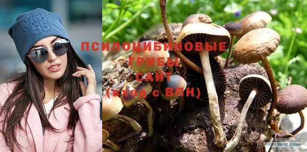 тгк Аркадак
