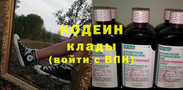 дмт Арсеньев