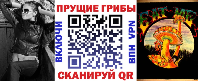 как найти Ленинск Псилоцибиновые грибы Cubensis